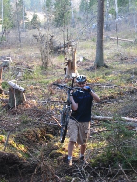 Click for the original image